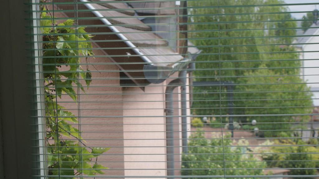 Chambre D'Hotes Le Vogelgarten Sigolsheim Værelse billede